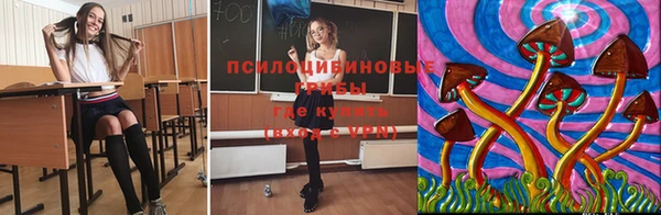 тгк Баксан