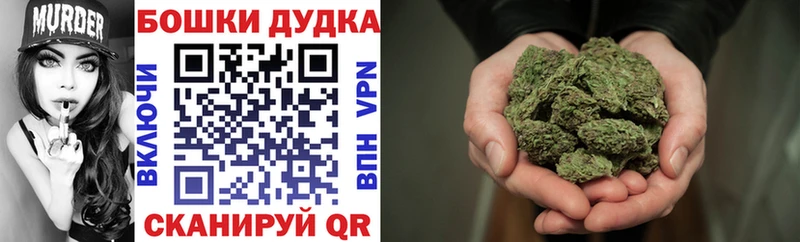 Шишки марихуана MAZAR  Сегежа 